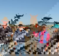 Annual Prairie Races - Hotel WA