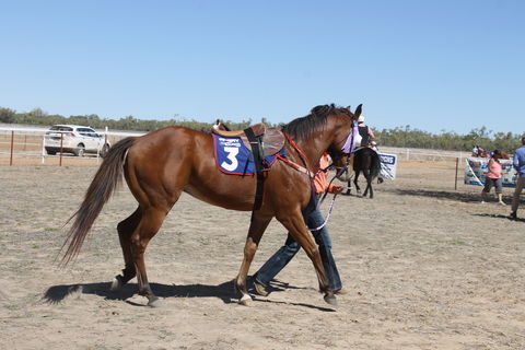 Annual Prairie Races - Hotel WA 2
