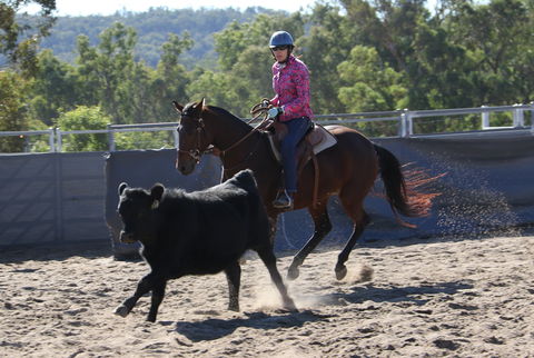 Australian Campdraft Association National Finals Campdraft 2021 - Hotel WA 1