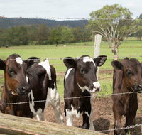 Bandon Grove Farm Tours