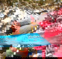 Beach House Hotel Hervey Bay 100 - Hotel WA