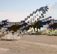 Bedourie Races and Rodeo - Hotel WA