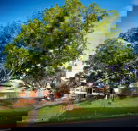 Big Bat Wildlife and Eco Festival