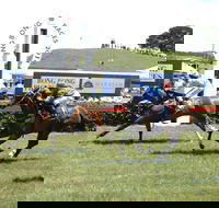 Bong Bong Picnic Races