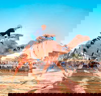 Boulia Camel Races - Hotel WA