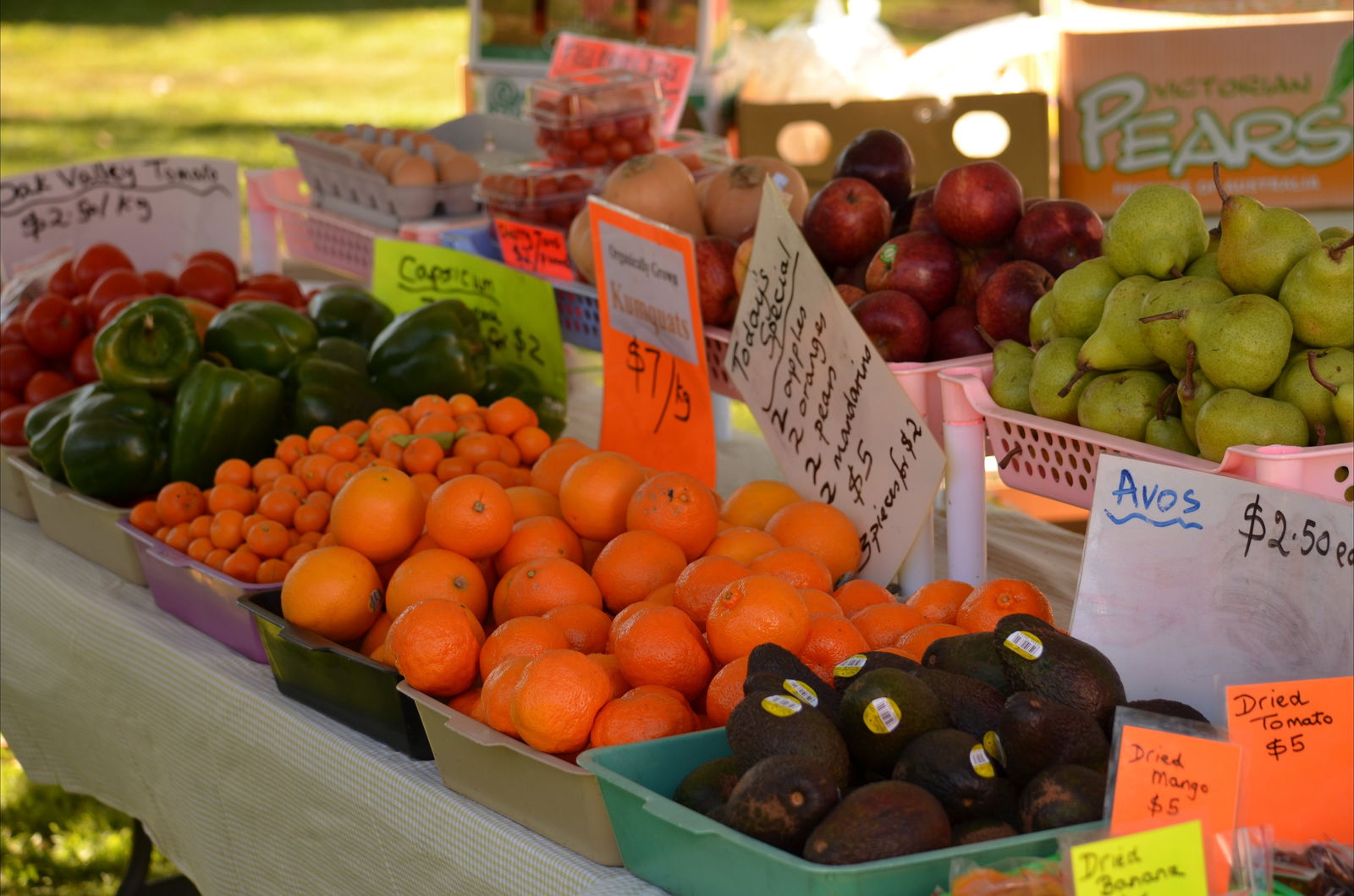 Augathella QLD Hotel WA