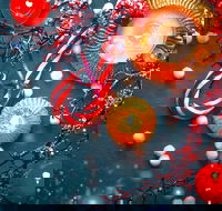 Christmas Celebration at Echoes Boutique Hotel - Hotel WA