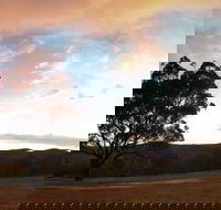 Christmas in July Jumpers and Jazz - Hotel WA