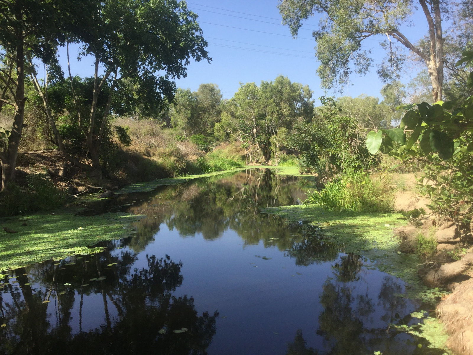 Belgian Gardens QLD Hotel WA