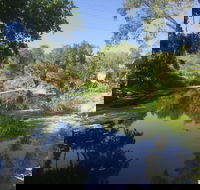 Conservation Volunteers Australia Townsville - Creekwatch - Hotel WA
