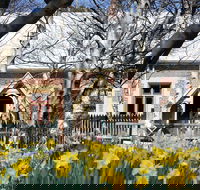 Daffodils at Rydal - Hotel WA