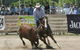 Dungog Team Penning - thumb 1