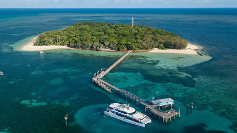Great Adventures Green Island Ocean Swim - Hotel WA 0