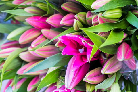 Harvest Launceston Community Farmers' Market - Hotel WA 0