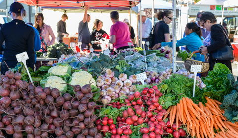 Harvest Launceston Community Farmers' Market - Hotel WA 2