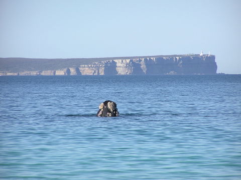 Jervis Bay's Sydney To Hobart Experience - Hotel WA 0