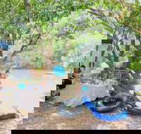 Jungle Love Festival - Hotel WA