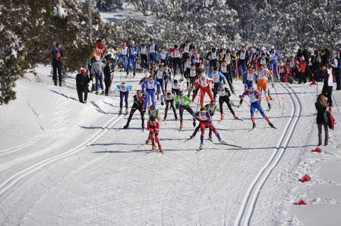 Kangaroo Hoppet - Hotel WA 1