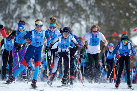 Kangaroo Hoppet - Hotel WA 2