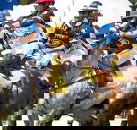 Land Rover Polo in the City Brisbane