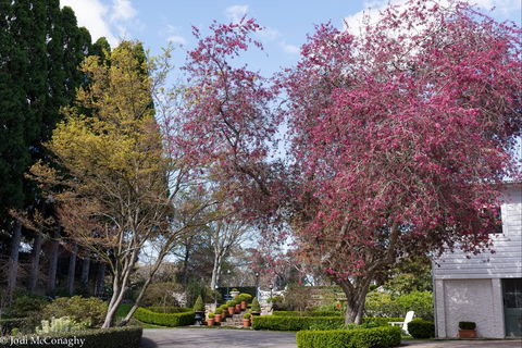 Leura Gardens Festival - Cancelled - Hotel WA 0