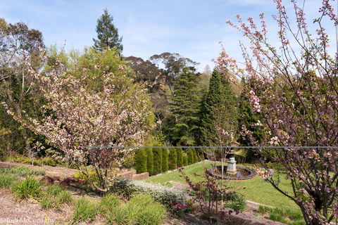 Leura Gardens Festival - Cancelled - Hotel WA 2
