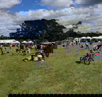 Majors Creek Festival - Hotel WA