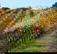 Miners Ridge Wine Tasting - Hotel WA