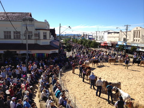 NCMC Casino Beef Week - Hotel WA 0