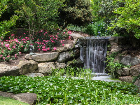 Spring Time At Hunter Valley Gardens - Hotel WA 1