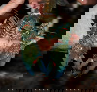 Windorah International Yabby Races - Postponed - Hotel WA