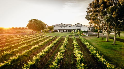 Aged Wine And Vintage Pies - Hotel WA 2