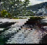 Colonial Palms Motor Inn - Hotel WA