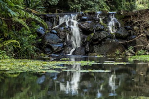 Kondalilla Eco Resort - Hotel WA 0