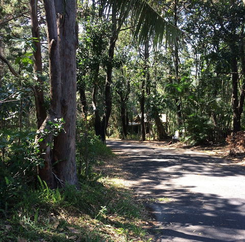 Byron Bay Rainforest Resort - Hotel WA 3