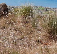 Schouten House - Hotel WA