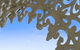 Wollongbar Motel - thumb 1