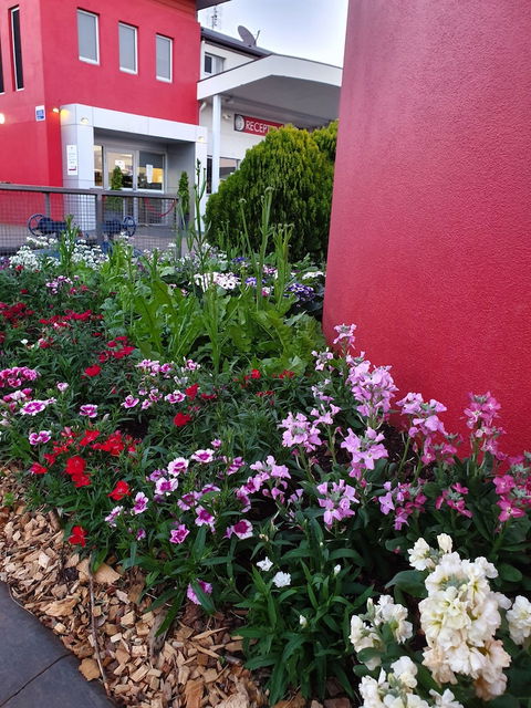 City Golf Club Motel - Hotel WA 2