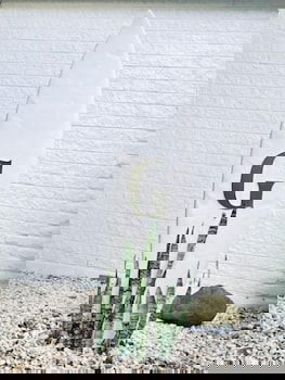 Greenmount Beach House - Hotel WA 2