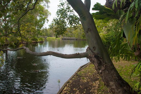 Northlakes Studio - Hotel WA 4
