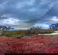 Saintys Creek Cottage - Hotel WA