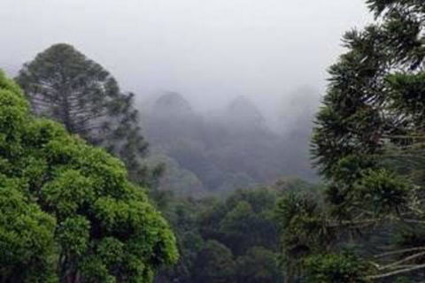 Bunya Mountains Accommodation Centre - Hotel WA 3