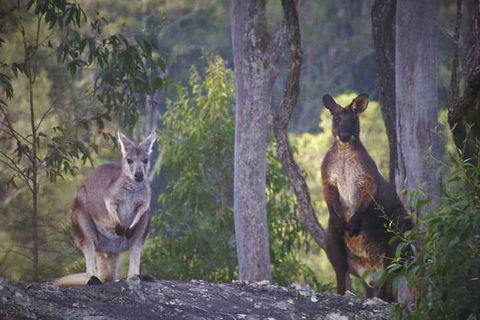 Somewhere Unique - Hotel WA 5