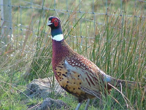 Baudins Accommodation - Hotel WA 6