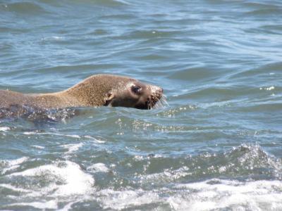 Baudins Accommodation - Hotel WA 5