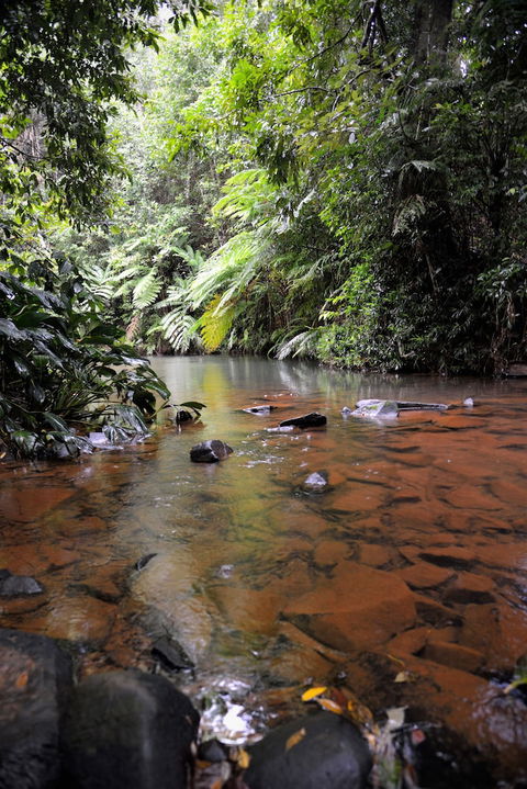 Mena Creek Flower House - Hotel WA 2