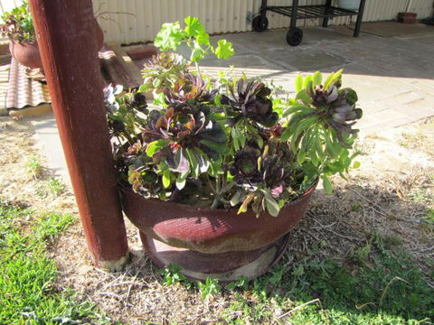 Ocean View Retreat - Hotel WA 4