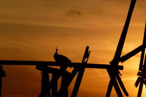 The Wicked Villa - Hotel WA 5