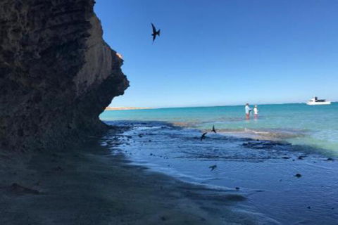 Peoples Park - Hotel WA 7