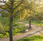 A Suite Spot in the Hills - Hotel WA